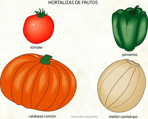 Hortalizas (Diccionario visual)